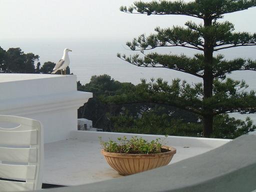 �J��������