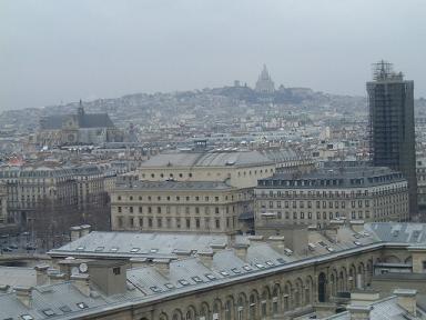 �T�N���E�N�[��